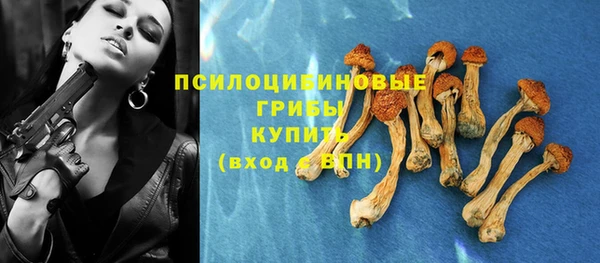 таблы Алзамай