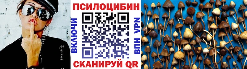 omg как войти  Карабаш  Псилоцибиновые грибы Cubensis 
